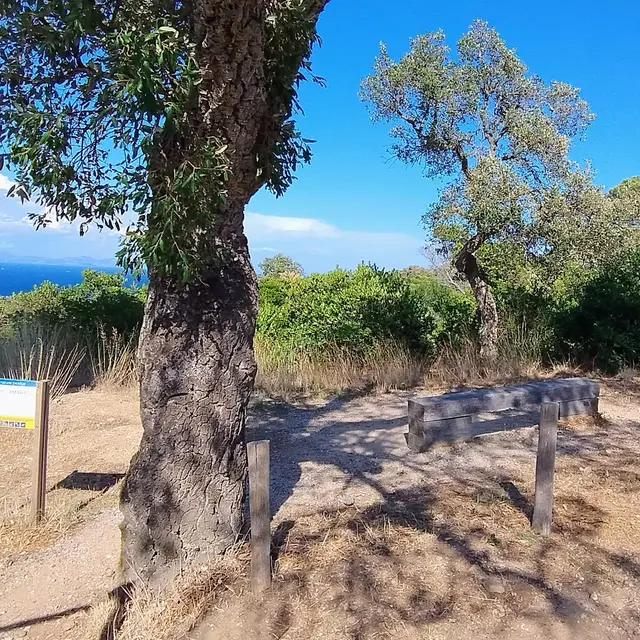 Balade entre terre et mer_Ramatuelle