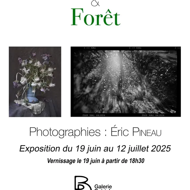 Exposition photographique Vanités & Forêt_Marseille