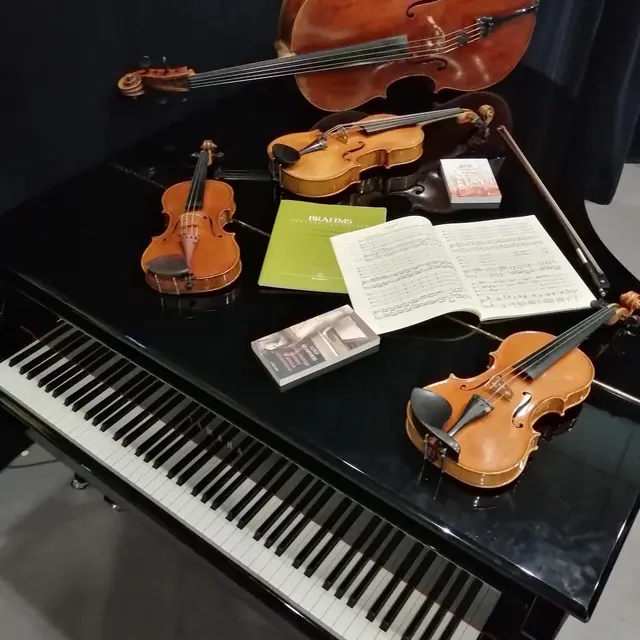 Aimez-vous Brahms ? / musique classique_Annecy