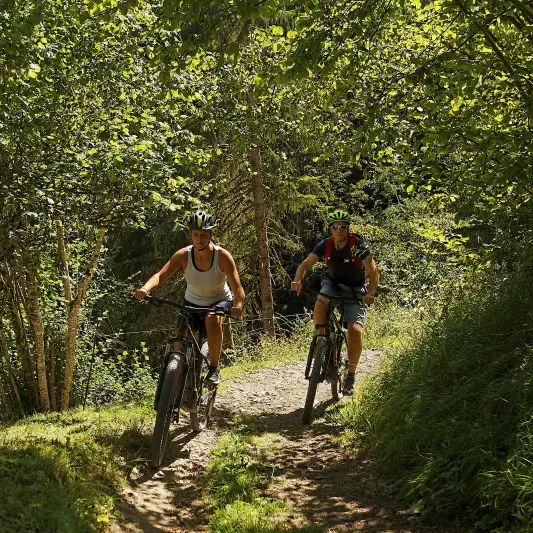 Boucle du Pont de la Flée - itinéraire n°57 en VTT_Cordon
