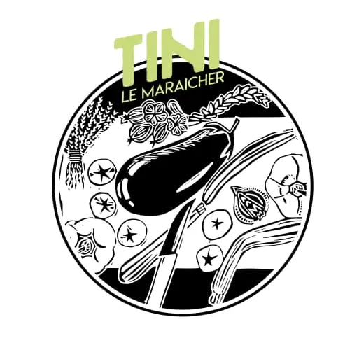 Tini Maraicher Hyères Almanarre