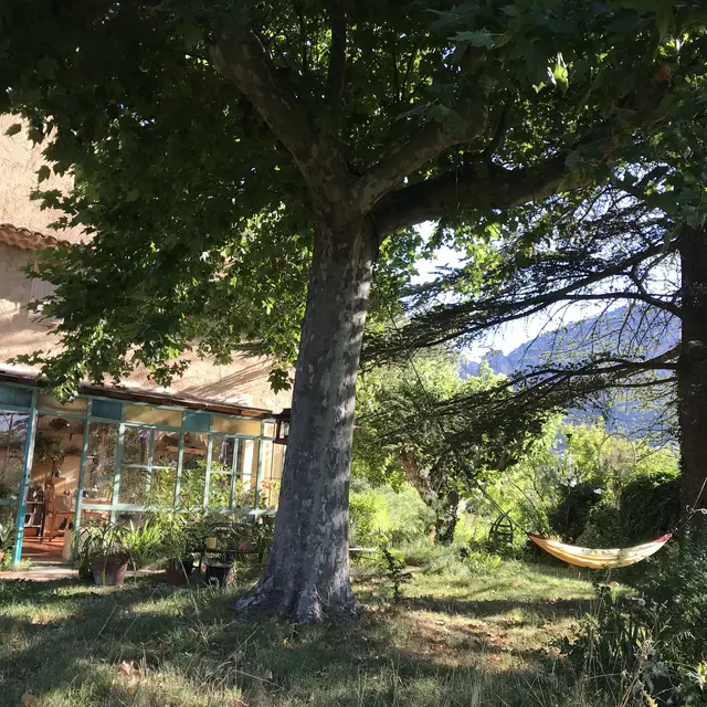 Campagne de la MaÏre_Moustiers-Sainte-Marie