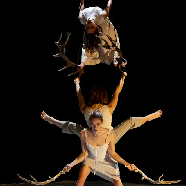 Faune - Cie Libertivore_Aubagne