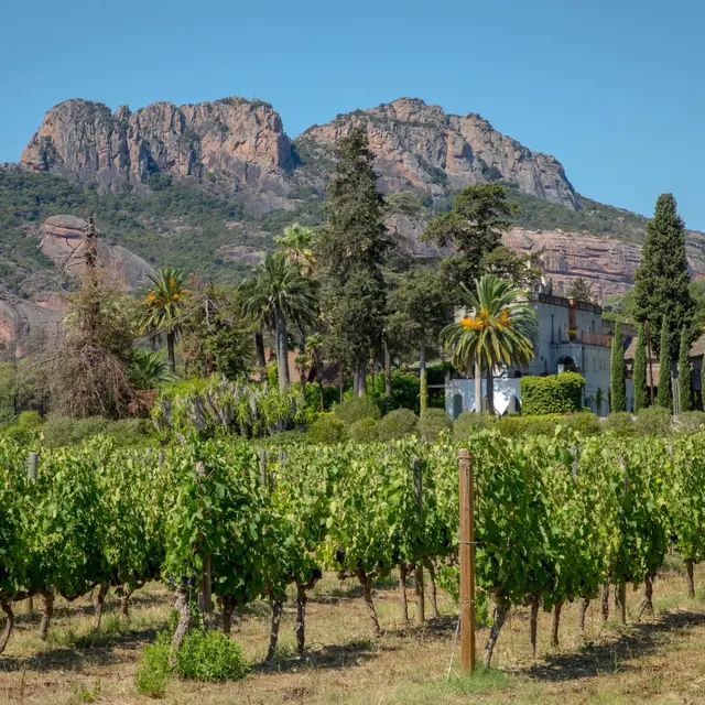 Château Palayson