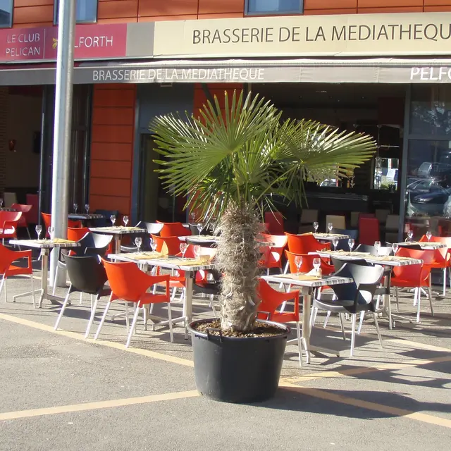 Brasserie de la médiathèque Montauban