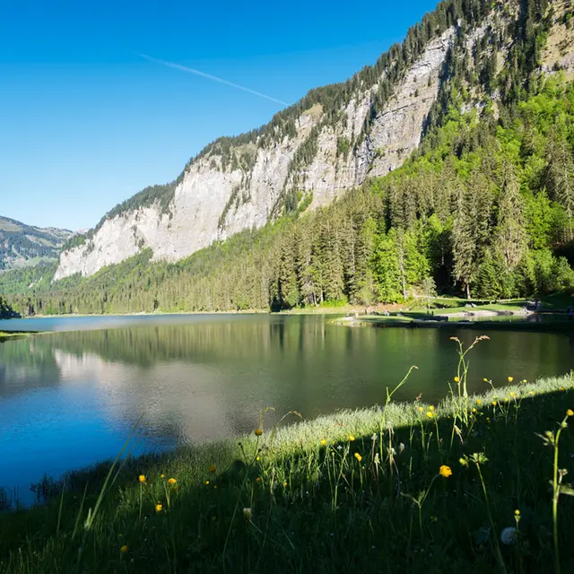 Lac de Montriond