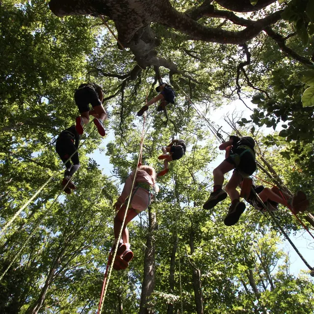 Printemps 2026 - Bougez dans le Pilat - Grimpe d'arbres (à partir de 10 ans) - Collet de Doizieux_Doizieux