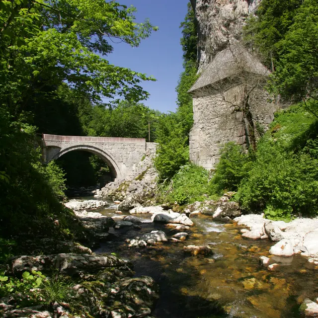 PONT