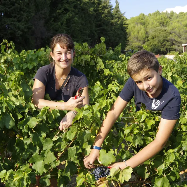 Domaine du Gros Pata