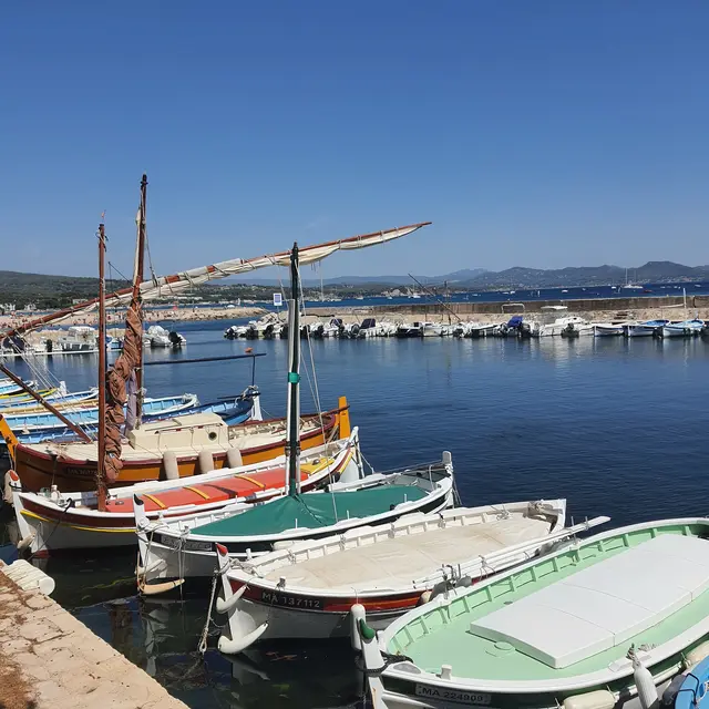 Port des Capucins