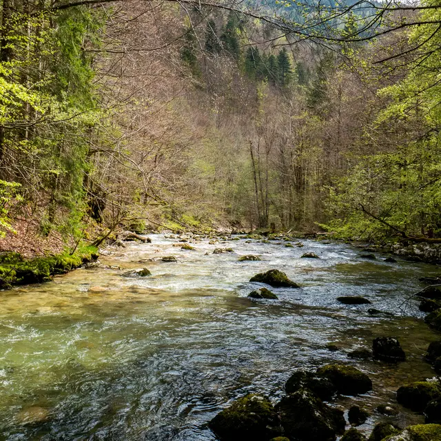 Animation nature : la rivière et les crues