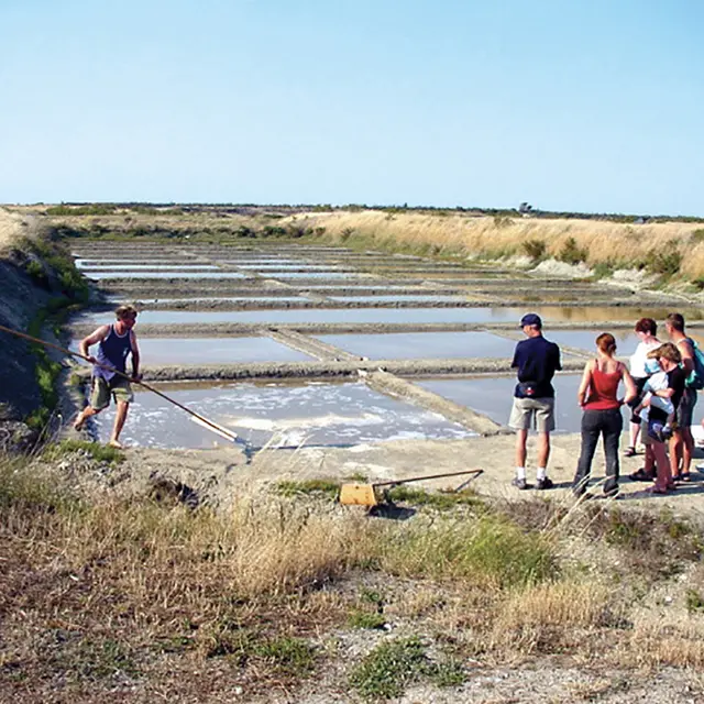 Visite du marais