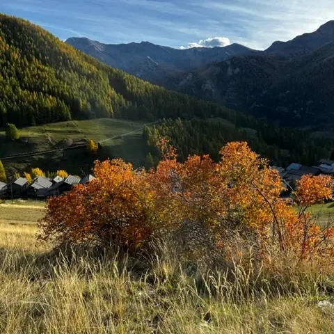 Visite patrimoniale