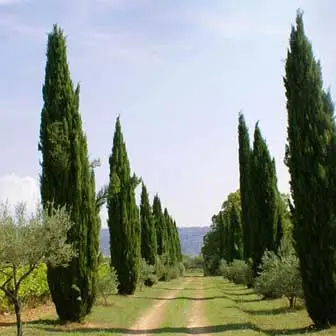 Domaine de Valcolombe