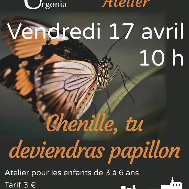 Atelier « Chenille, tu deviendras papillon »_Orgon