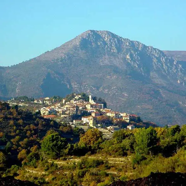 levens01.jpg