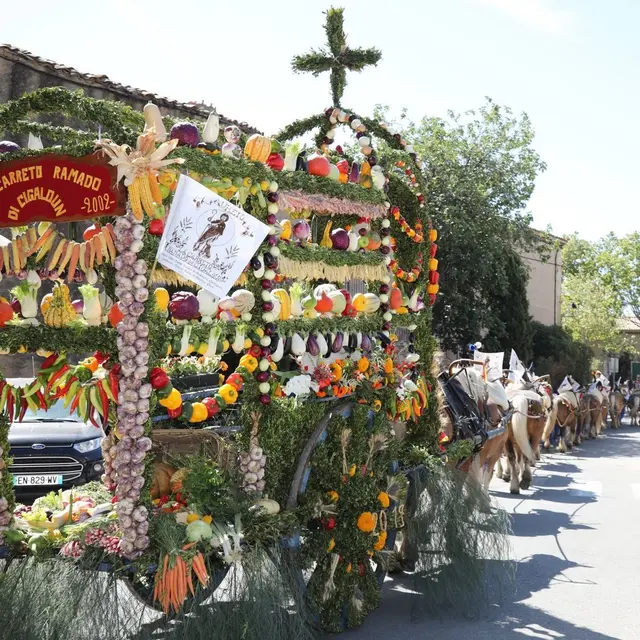 Fête de la Saint-Roch Aureille 2019_carreto ramado