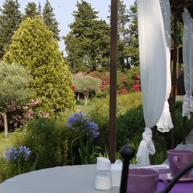 Petit-déjeuner terrasse