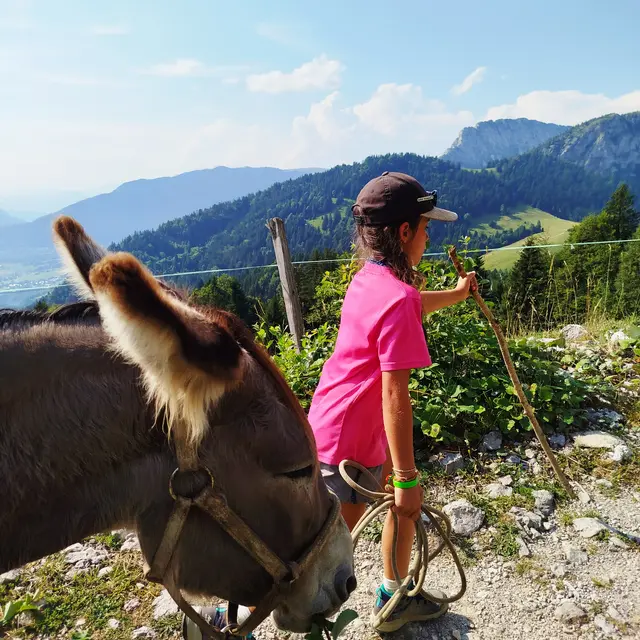 Randonnée avec les ânes - 3 jours, mes premiers pas d'itinérant_Les Déserts