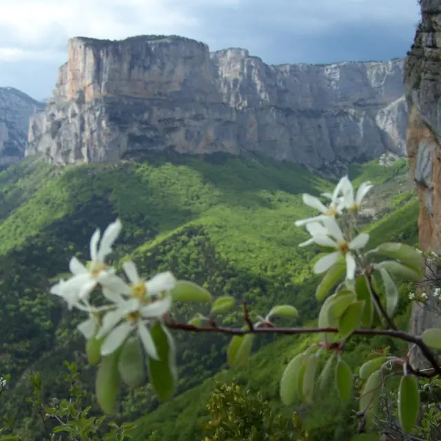 Le Cirque d'Archiane depuis le belvédère