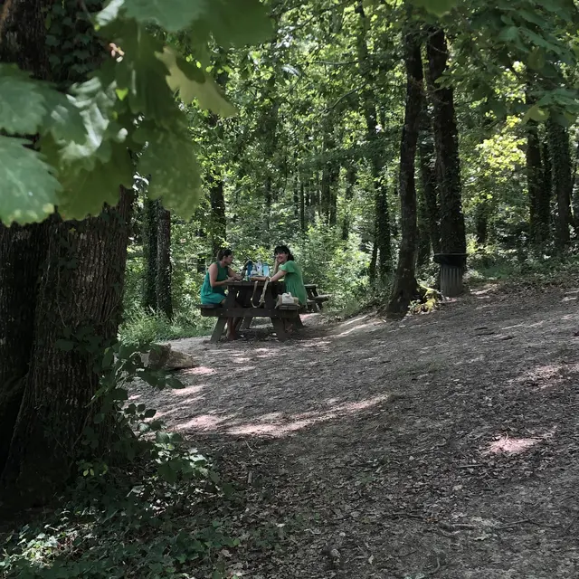 Aire de pique-nique dans la forêt_Lafrançaise