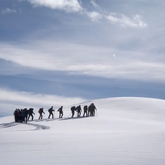 Raquettes à neige