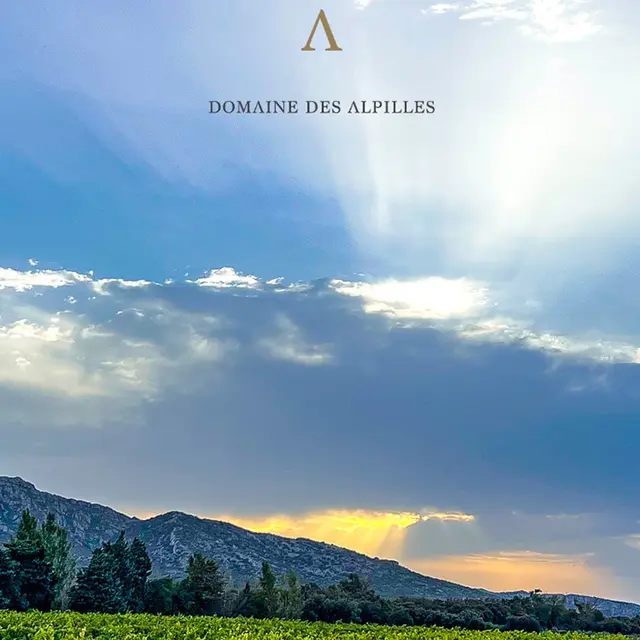 Domaine des Alpilles_Aureille