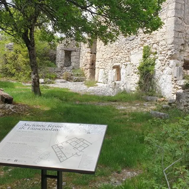 Rendez-vous du Parc - Balade entre Lausemolan et le Mur de la peste - Monieux_Monieux