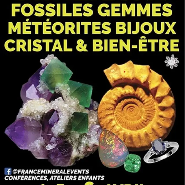 24ème salon des minéraux_Menton