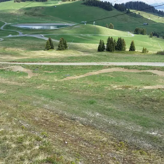 piste-vtt-dh-verte-pikachu