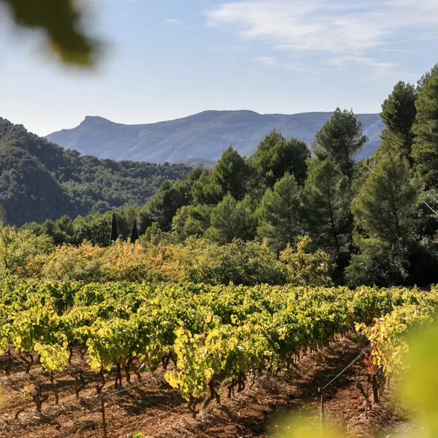 Les Vignerons du Garlaban