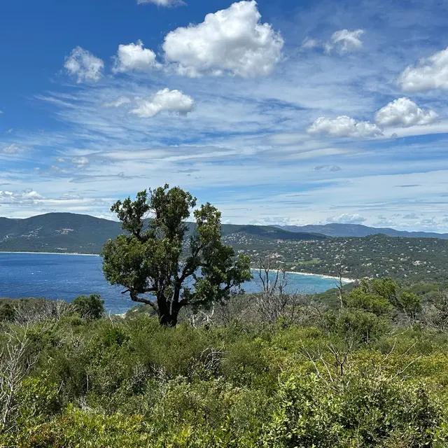 Domaine du Cap Lardier VTT