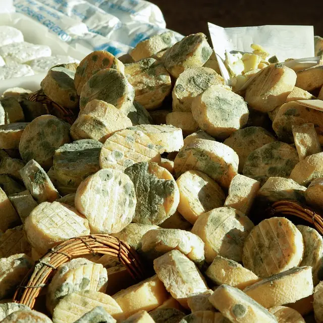 Producteur fromages de chèvres et oeufs - Apinac