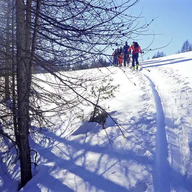 Ski de randonnée