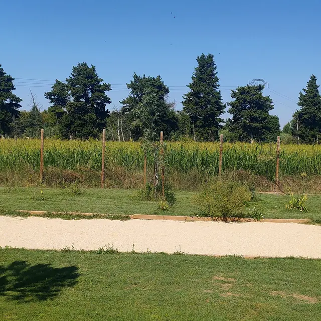 Terrain de pétanque
