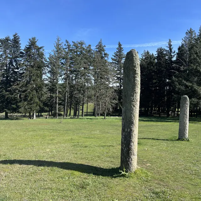 Les menhirs du plateau Lambert_Collobrières