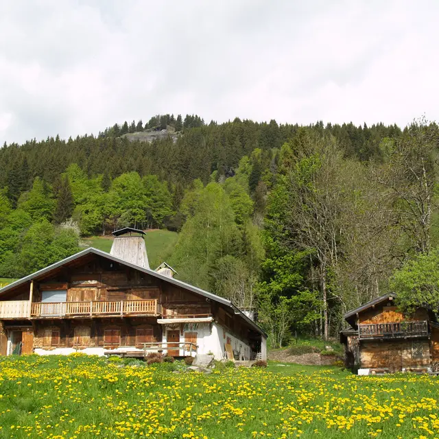 Mont du Villard
