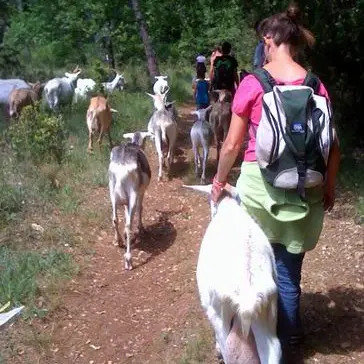 Festival de la Terre : Une journée à la ferme_Callas