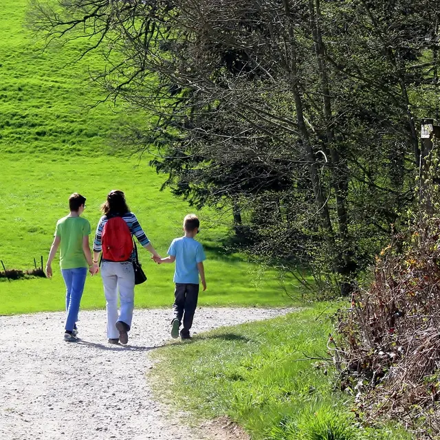 Rando-land Usson en Forez