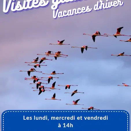 Visite Guidée Vacances d'Hiver_Saintes-Maries-de-la-Mer