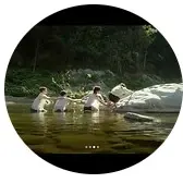 De Chair et d’Écorce_Avignon