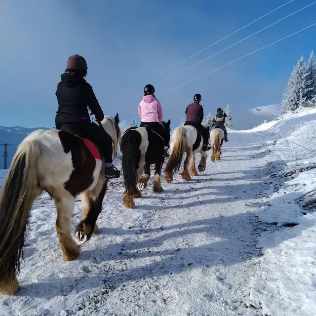 Balade à cheval sur neige_Avoriaz