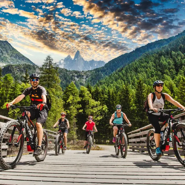 ebike