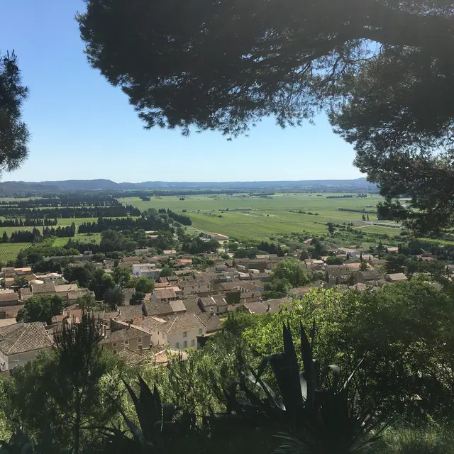 Balade du Primeur_Pujaut