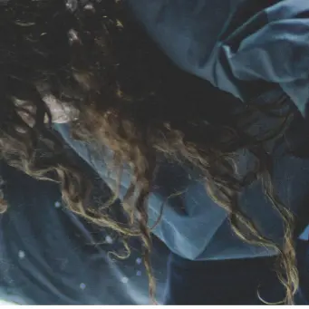 Anat Bosak, DONKEY_Marseille