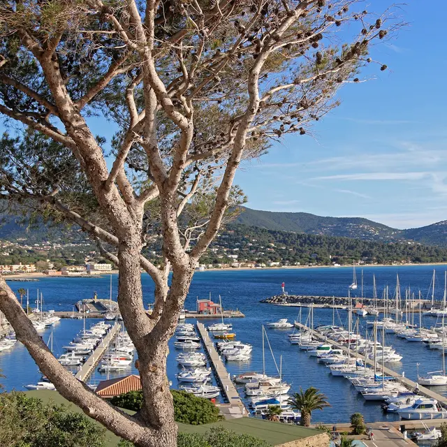 Séminaire à Cavalaire_Cavalaire-sur-Mer