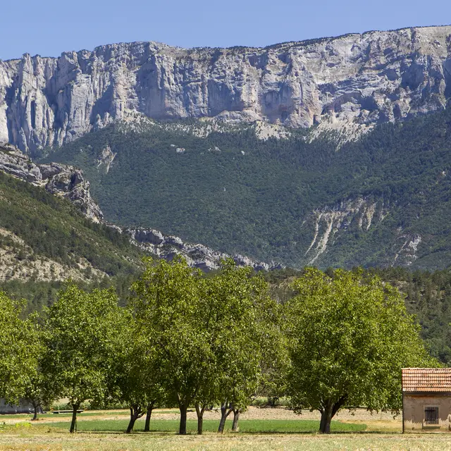 La Montagne de Glandasse