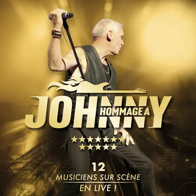 HOMMAGE À JOHNNY_Saint-Étienne