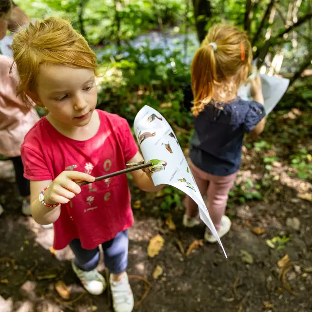 Eveil à la nature pour les tout-petits (3-6 ans)_Saint-Joseph-de-Rivière