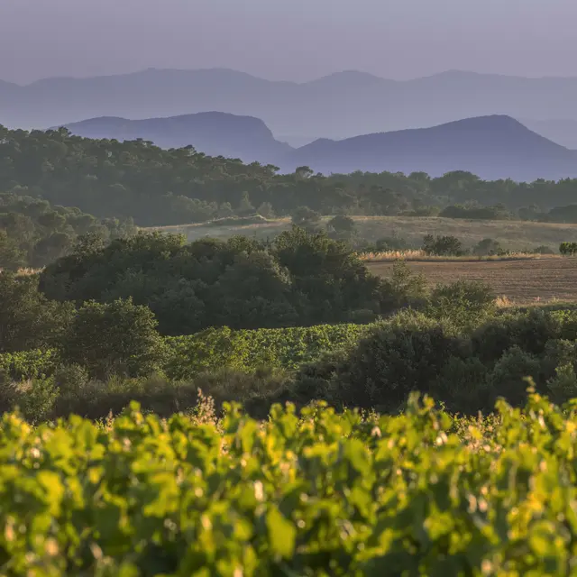 Paysage